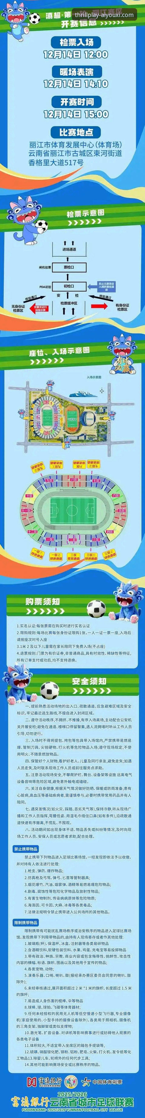 在爱游戏平台沉浸式体验世界杯晋级之路的完整指南